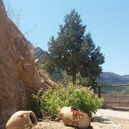Casa Lucia Campagna Relax ξενώνας Dorgali Εξωτερικό φωτογραφία