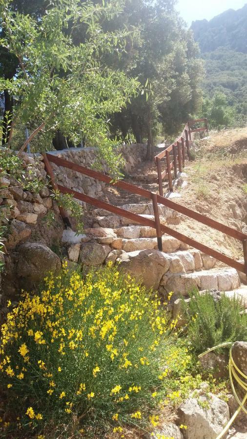 Casa Lucia Campagna Relax ξενώνας Dorgali Εξωτερικό φωτογραφία