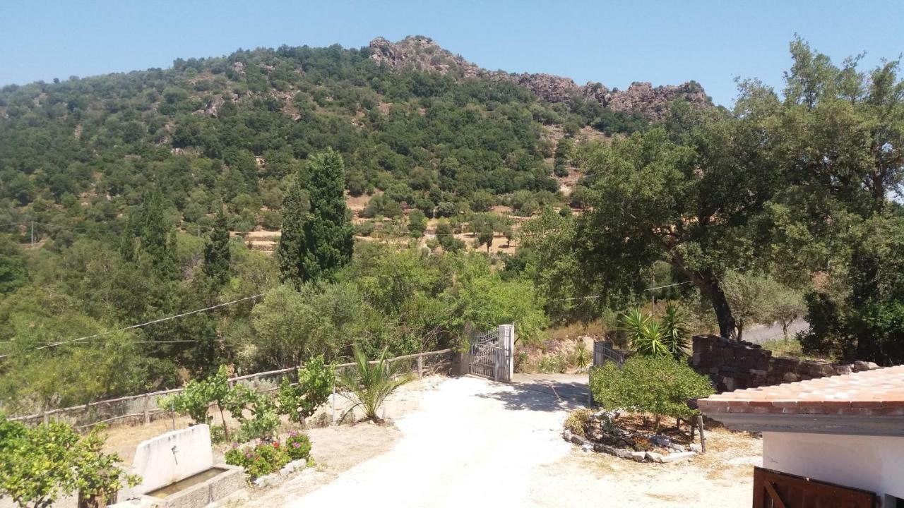 Casa Lucia Campagna Relax ξενώνας Dorgali Εξωτερικό φωτογραφία